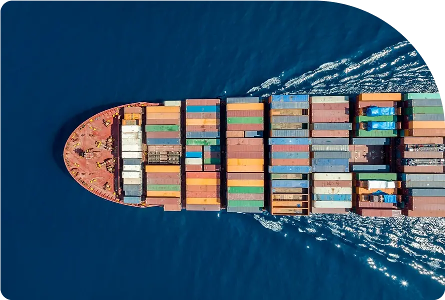 International-Market-Overview